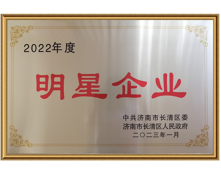 2022年度明星企业