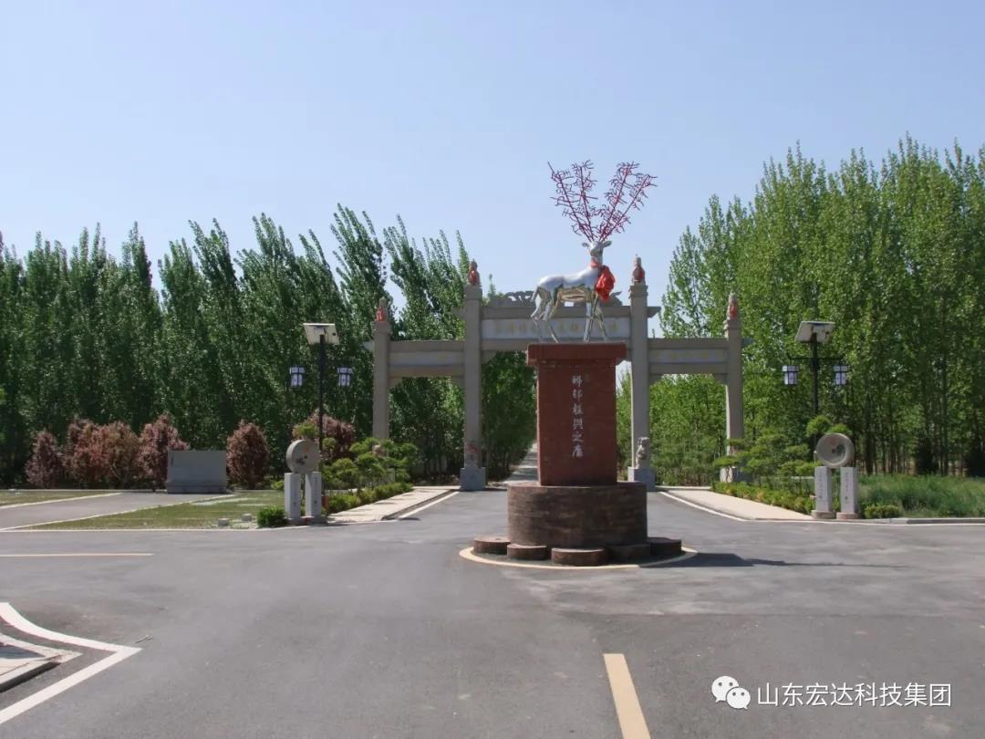 山东星空手机官网入口-星空(中国)集团举办党史学习教育活动
